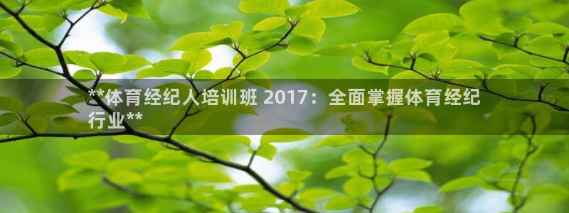 极悦平台安全吗是真的吗：**体育经纪人培训班 201