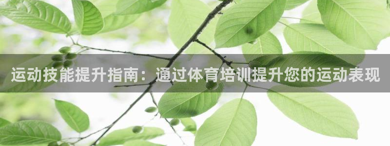 极悦平台创始人背景故事视频：运动技能提升指南：通过体