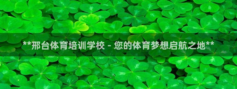 极悦平台股东：**邢台体育培训学校 - 您的体育梦想