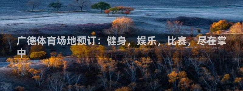 极悦平台方7O777：广德体育场地预订：健身，娱乐，