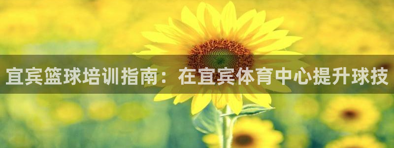 极悦娱乐会被骗吗安全吗：宜宾篮球培训指南：在宜宾体育