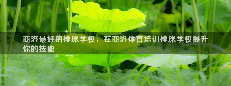 极悦平台代理怎么样可靠吗：商洛最好的排球学校：在商洛