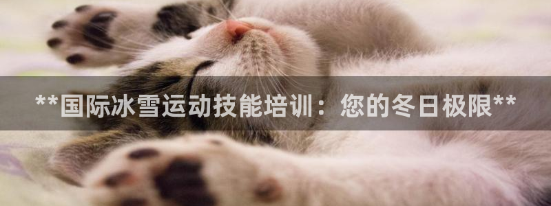 极悦平台注册登录入口网址：**国际冰雪运动技能培训：