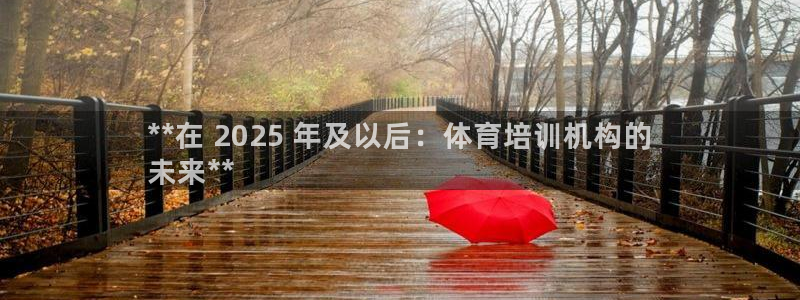 极悦娱乐官网app下载安装：**在 2025 年及以
