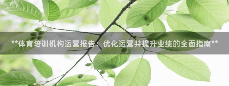 极悦娱乐最新版本更新内容分享：**体育培训机构运营报