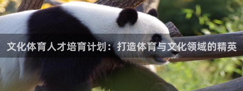 极悦官方网站app下载安装：文化体育人才培育计划：打