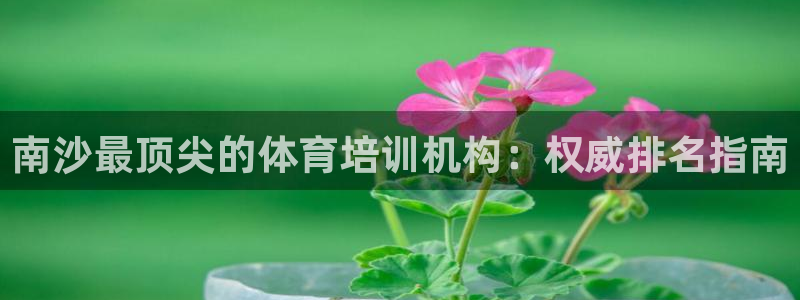 极悦平台有风险吗知乎：南沙最顶尖的体育培训机构：权威
