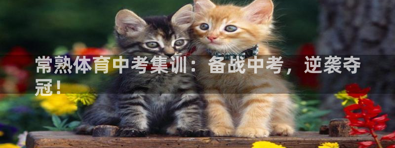 极悦娱乐创始人背景故事简介：常熟体育中考集训：备战中