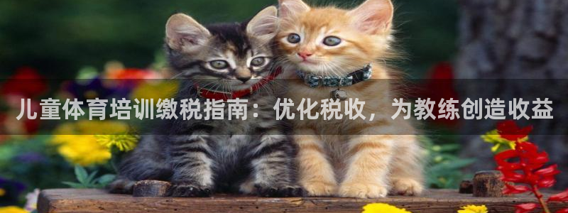 极悦官方网站app下载安卓：儿童体育培训缴税指南：优