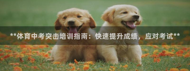 极悦娱乐现在叫什么：**体育中考突击培训指南：快速提