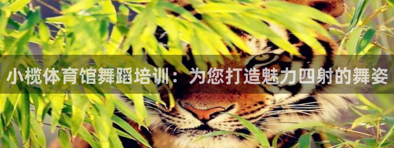极悦平台注册官网网址：小榄体育馆舞蹈培训：为您打造魅