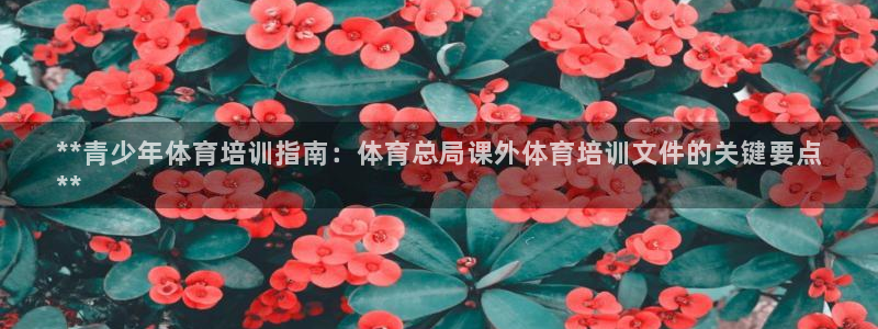 极悦娱乐官网下载app：**青少年体育培训指南：体育