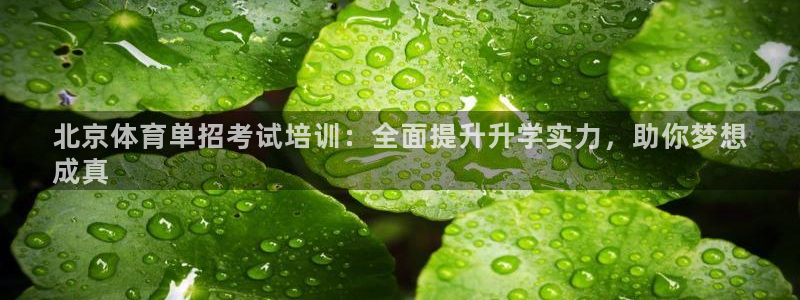 极悦平台注册官方网站下载：北京体育单招考试培训：全面