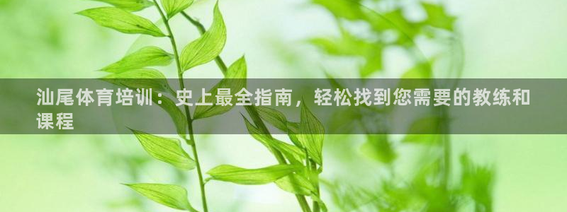 极悦平台注册资金多少：汕尾体育培训：史上最全指南，轻