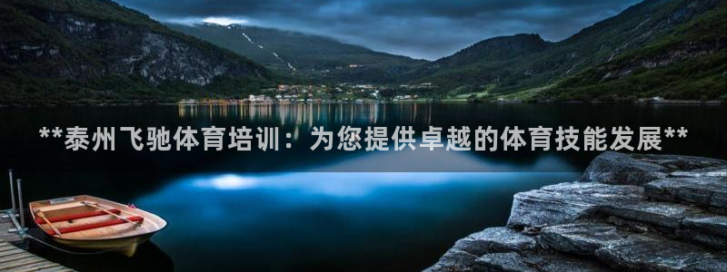 极悦官网的登录方法：**泰州飞驰体育培训：为您提供卓