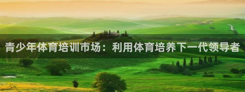 极悦平台用户评价在哪里看：青少年体育培训市场：利用体