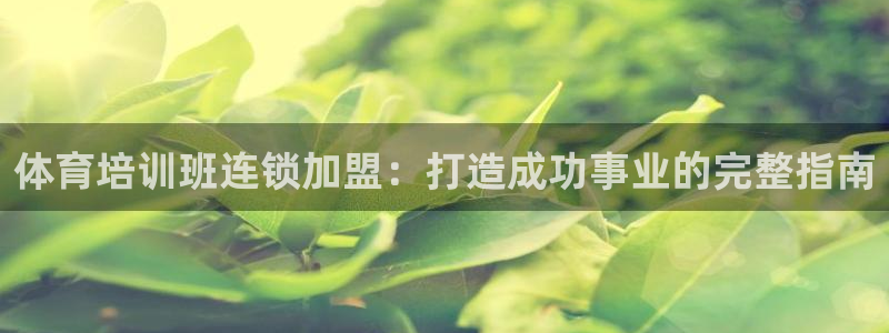 极悦官方网站入口：体育培训班连锁加盟：打造成功事业的
