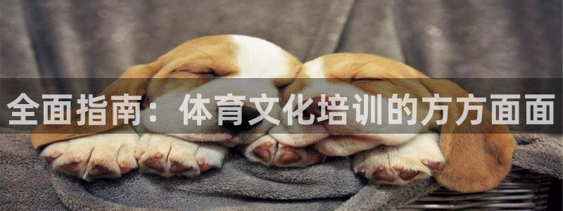 极悦平台注册官方网站下载手机版：全面指南：体育文化培