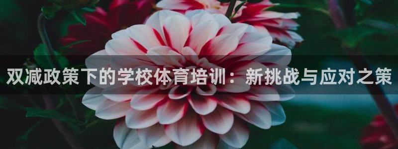 极悦平台有风险吗现在：双减政策下的学校体育培训：新挑