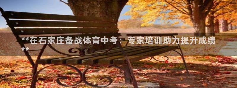 极悦平台是正规平台吗是真的吗：**在石家庄备战体育中