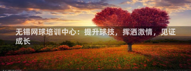 极悦平台官网登录不了怎么办：无锡网球培训中心：提升球