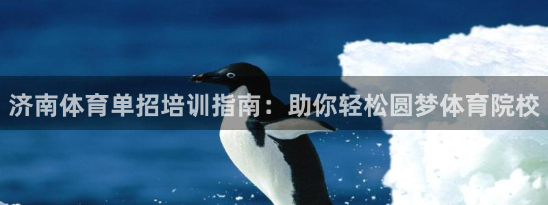 极悦平台登录方式有哪些：济南体育单招培训指南：助你轻