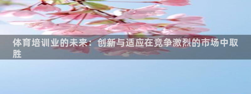极悦是什么牌子空调：体育培训业的未来：创新与适应在竞
