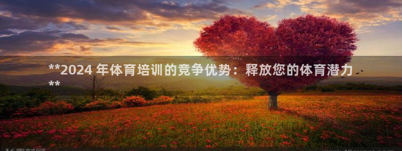 极悦平台注册用户名验证失败：**2024 年体育培训