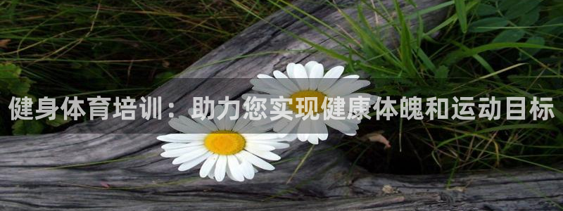 极悦娱乐股东名单：健身体育培训：助力您实现健康体魄和