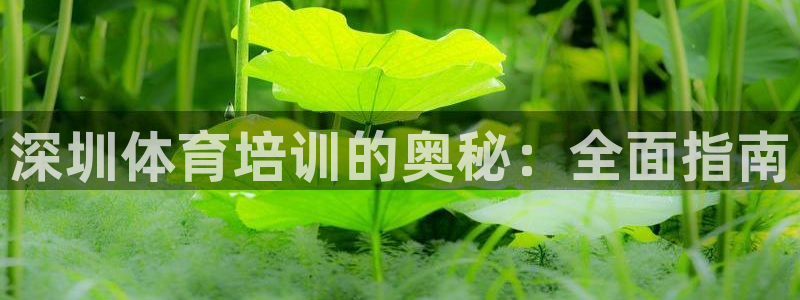 极悦平台保7O777：深圳体育培训的奥秘：全面指南