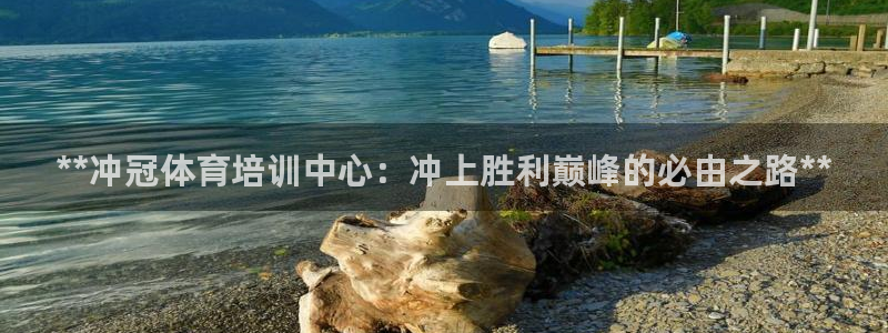 极悦平台城7O777：**冲冠体育培训中心：冲上胜利