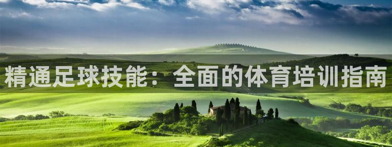 极悦官网的登录方法：精通足球技能：全面的体育培训指南
