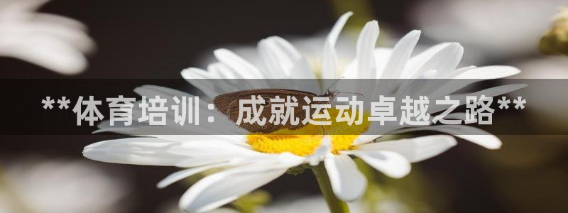极悦平台和蓝狮平台区别：**体育培训：成就运动卓越之