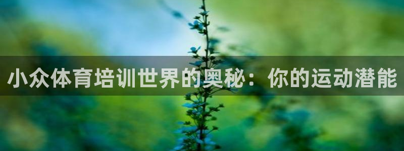 极悦平台官网登录入口网址查询：小众体育培训世界的奥秘