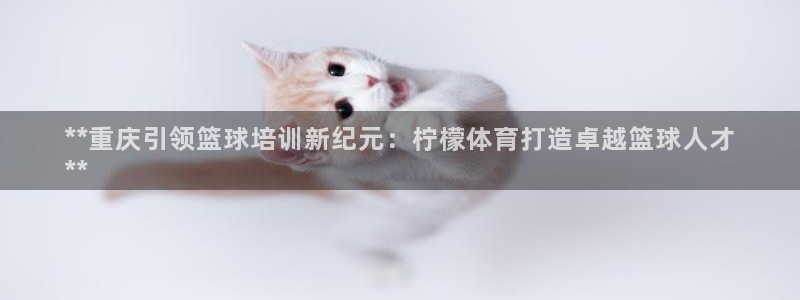 极悦官网的登录方法：**重庆引领篮球培训新纪元：柠檬