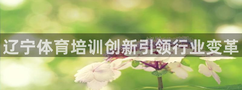 极悦平台平台注册方法与步骤是什么：辽宁体育培训创新引