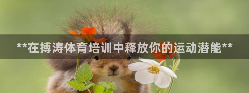 极悦平台客服团队怎么样：**在搏涛体育培训中释放你的