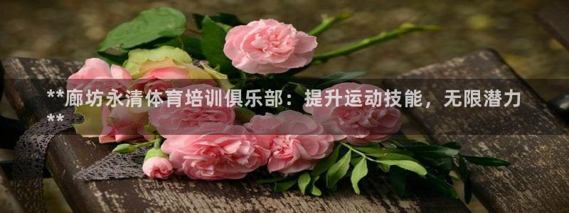 极悦娱乐的创始人背景故事：**廊坊永清体育培训俱乐部