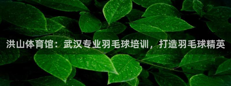 极悦平台注册用户名验证码是什么：洪山体育馆：武汉专业