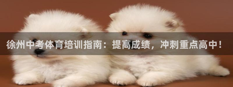 极悦生活家是什么平台：徐州中考体育培训指南：提高成绩