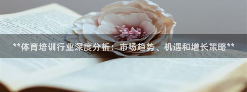 极悦平台客服团队介绍：**体育培训行业深度分析：市场