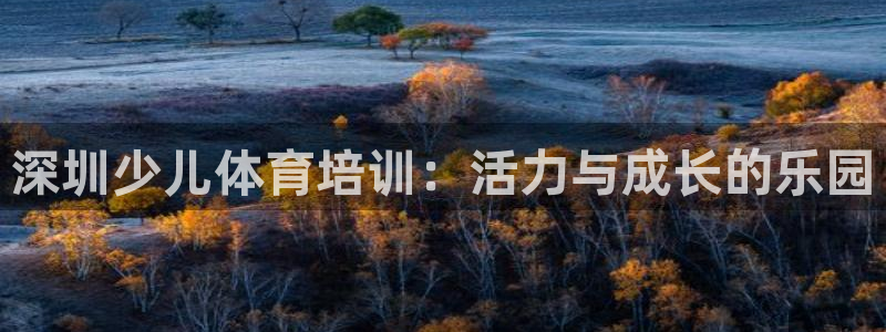 极悦官网旗舰店地址：深圳少儿体育培训：活力与成长的乐