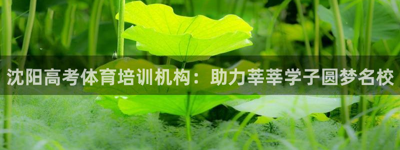 无锡极悦科技有限公司：沈阳高考体育培训机构：助力莘莘