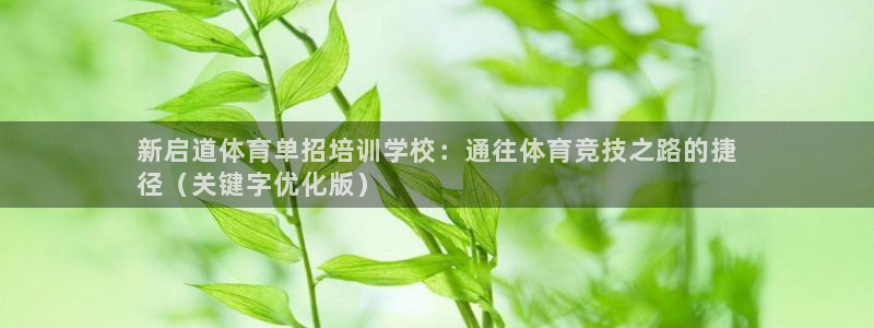 极悦娱乐官网入口下载：新启道体育单招培训学校：通往体