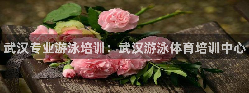 极悦娱乐公司最新招聘信息官网：武汉专业游泳培训：武汉