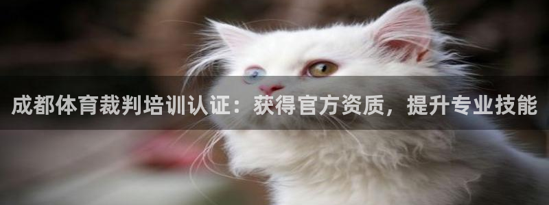 极悦平台使用教程图解：成都体育裁判培训认证：获得官方