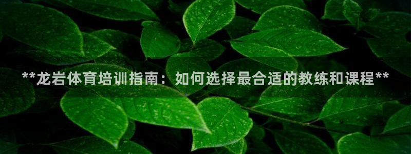 极悦平台用户评价与反馈在哪里：**龙岩体育培训指南：
