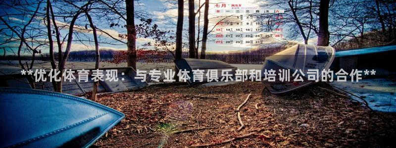 极悦娱乐股东名单：**优化体育表现：与专业体育俱乐部