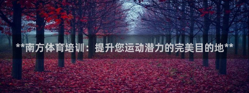 极悦娱乐官网入口下载：**南方体育培训：提升您运动潜