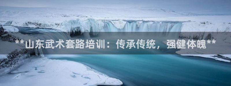 极悦平台注册用户名生成器下载：**山东武术套路培训：